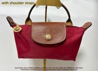 Mini with long strap 15