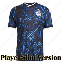2026 Player Away