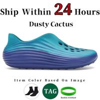 B 29 Dusty Cactus