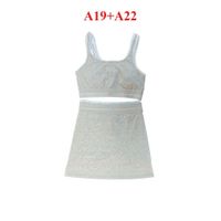 Light gray(A19/A22)