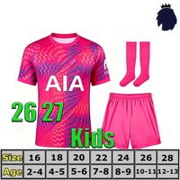 26/27 Goalkeeper kit socks Patch