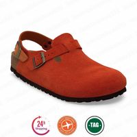 A12 clogs