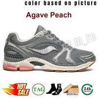 113 Agave Peach