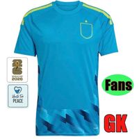 2026 GK blue fans patch