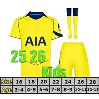 25/26 3rd kit socks