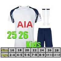 25/26 home kit socks