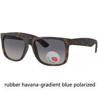 Tortoise-gradient blue