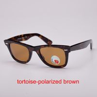 Tortoise-polarized brown