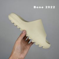 05 Bone 2022