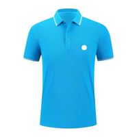 Polo 7