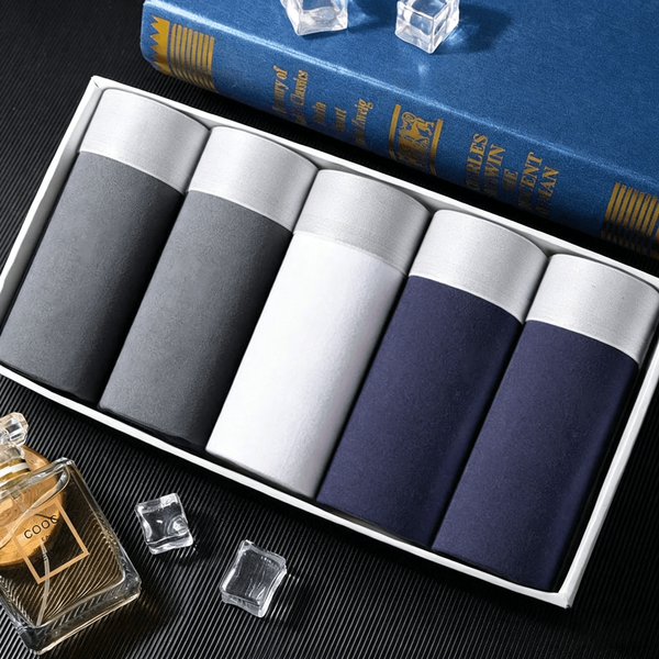 5pcs Set Long Leg Boxer Shorts Panties Men Underpants Homme Cotton Male Underpants for Men Sexy Homme Boxershorts Box Panties Slip Hot